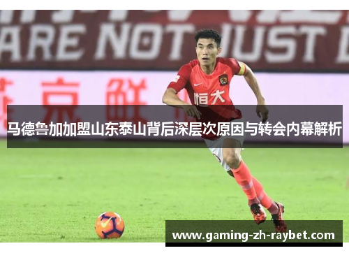 马德鲁加加盟山东泰山背后深层次原因与转会内幕解析